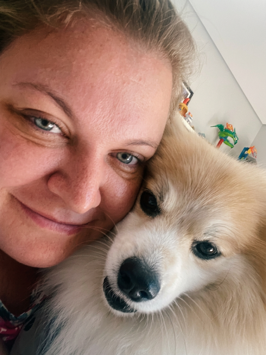 Carinho em Lulu da Pomerânia