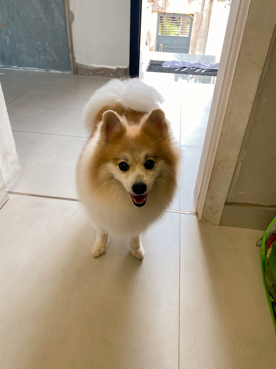 Lulu sorridente na porta